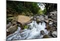 Photographic Print