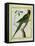 Alexandrine Parakeet-Georges-Louis Buffon-Framed Premier Image Canvas