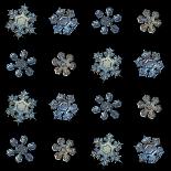 Set with Snowflakes Isolated on Black Background. this is Macro Photos of Real Snow Crystals: Mediu-Alexey Kljatov-Photographic Print