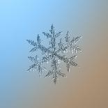 Snowflake on Smooth Blue-Brown Gradient Background. this is Macro Photo of Real Snow Crystal: Large-Alexey Kljatov-Framed Stretched Canvas