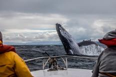 Whale Jump-Alexey Mhoyan-Photographic Print