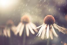 Summer Flowers under Rain-Alexey Rumyantsev-Photographic Print