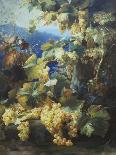 Still Life of Grapes-Alexis Kreyder-Mounted Giclee Print