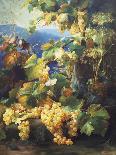 Still Life with Grape-Alexis Kreyder-Premier Image Canvas