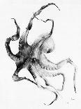 Octopus-Alexis Marcou-Framed Art Print