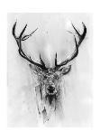Red Deer-Alexis Marcou-Art Print