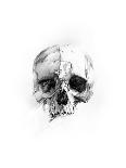 Skull 46-Alexis Marcou-Art Print