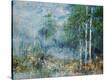 Stretched Canvas Print