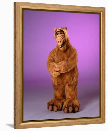 ALF-null-Framed Stretched Canvas