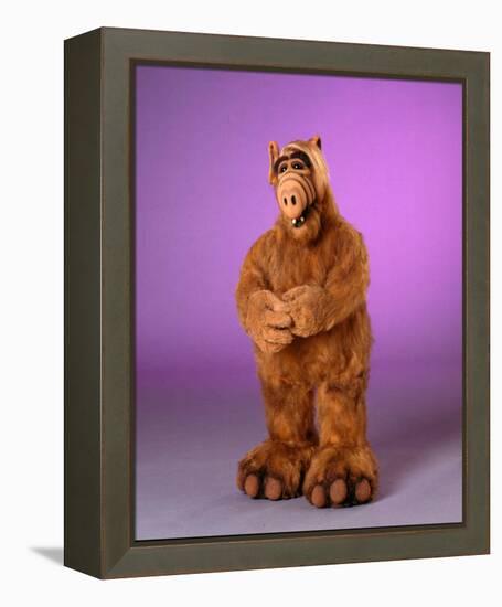 ALF-null-Framed Stretched Canvas