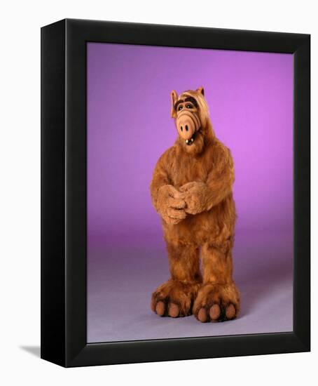 ALF-null-Framed Stretched Canvas