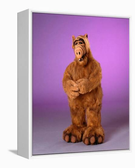 ALF-null-Framed Stretched Canvas