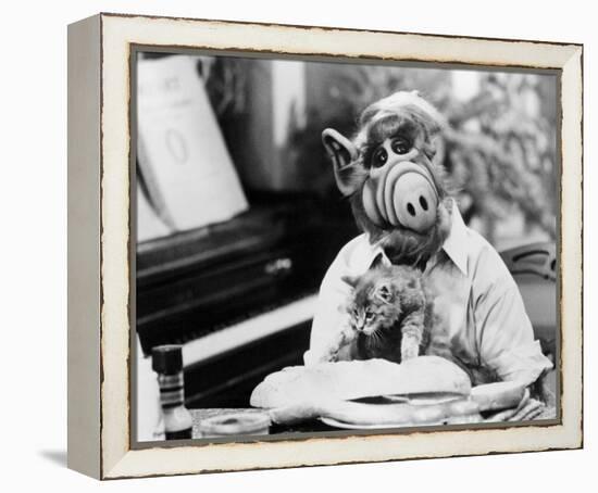 ALF-null-Framed Stretched Canvas