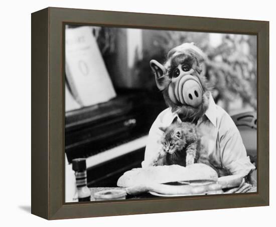 ALF-null-Framed Stretched Canvas