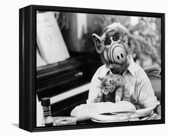 ALF-null-Framed Stretched Canvas