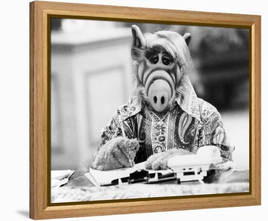 ALF-null-Framed Stretched Canvas