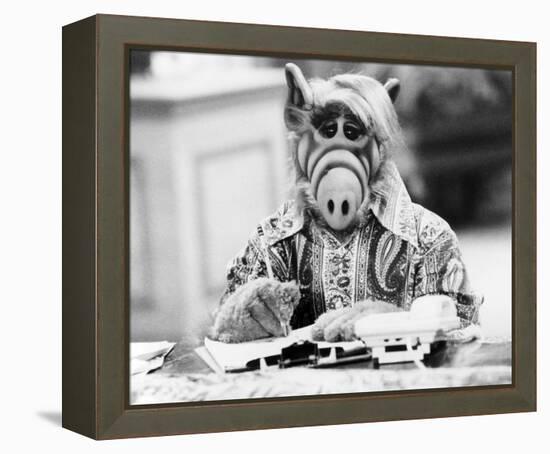 ALF-null-Framed Stretched Canvas