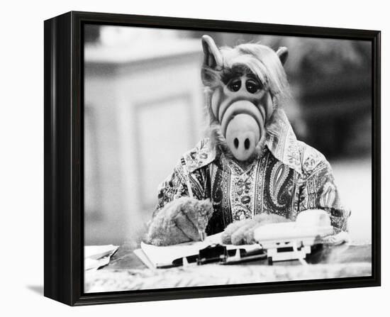 ALF-null-Framed Stretched Canvas