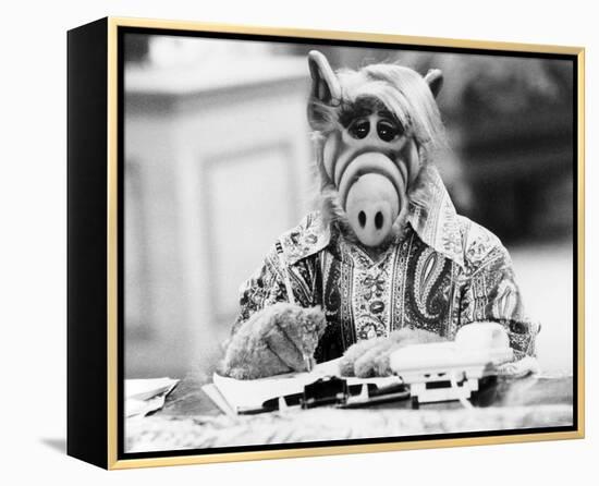 ALF-null-Framed Stretched Canvas