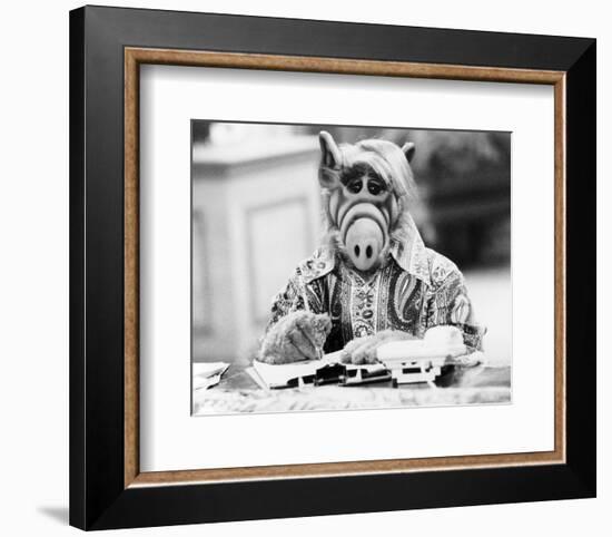 ALF-null-Framed Photo