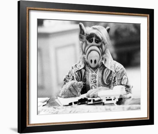 ALF-null-Framed Photo