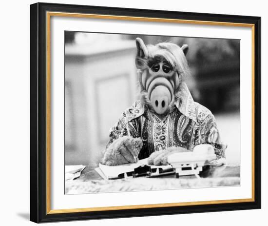 ALF-null-Framed Photo