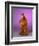 ALF-null-Framed Art Print