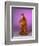 ALF-null-Framed Premium Giclee Print