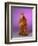 ALF-null-Framed Premium Giclee Print