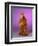 ALF-null-Framed Premium Giclee Print