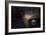 Alfa Romeo GTV Front-NaxArt-Framed Photo