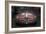 Alfa Romeo Laguna Seca-NaxArt-Framed Photo