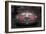 Alfa Romeo Laguna Seca-NaxArt-Framed Photo