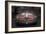 Alfa Romeo Laguna Seca-NaxArt-Framed Photo