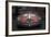 Alfa Romeo Laguna Seca-NaxArt-Framed Photo