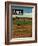 "Alfalfa Field," Country Gentleman Cover, July 1, 1948-Herb Zeck-Framed Giclee Print