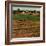 "Alfalfa Field,"July 1, 1948-Herb Zeck-Framed Giclee Print