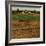 "Alfalfa Field,"July 1, 1948-Herb Zeck-Framed Giclee Print