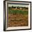 "Alfalfa Field,"July 1, 1948-Herb Zeck-Framed Giclee Print