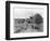 Alfalfa Haystack-C.E. Watkins-Framed Photographic Print