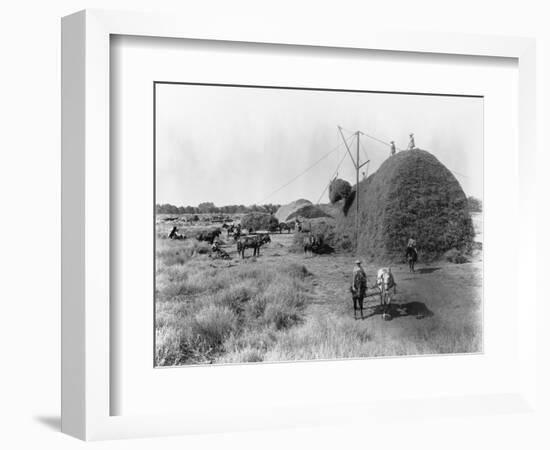 Alfalfa Haystack-C.E. Watkins-Framed Photographic Print
