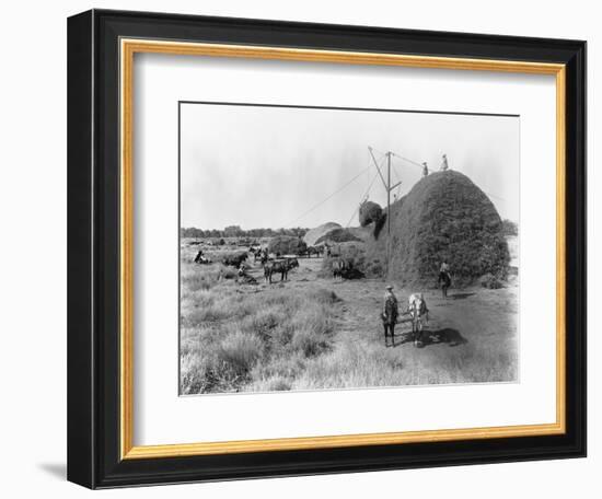 Alfalfa Haystack-C.E. Watkins-Framed Photographic Print