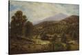 Stretched Canvas Print