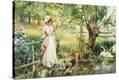 Stretched Canvas Print