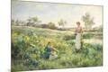 Premium Giclee Print