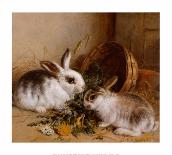 Feeding Time-Alfred Barber-Mounted Giclee Print