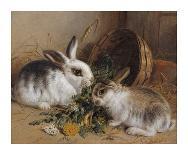 Feeding Time-Alfred Barber-Premier Image Canvas