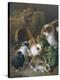 Stretched Canvas Print