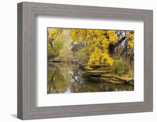 Alfred Caldwell Lily Pond in Chicago's Lincoln Park Area-Alan Klehr-Framed Photographic Print