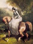 A Horse in a Landscape-Alfred Dedreux-Giclee Print